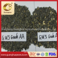 Hot Sale Gws Pumpkin Seed New Crop